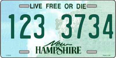 NH license plate 1233734