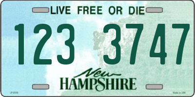 NH license plate 1233747