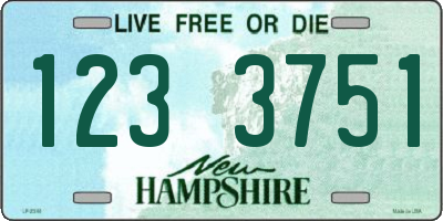 NH license plate 1233751