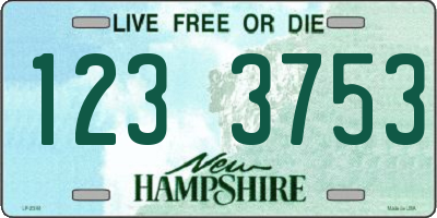 NH license plate 1233753