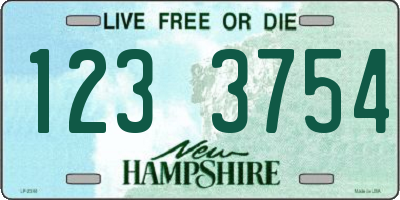 NH license plate 1233754
