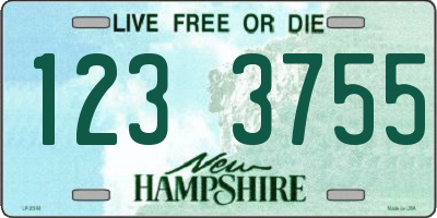 NH license plate 1233755