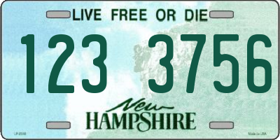 NH license plate 1233756