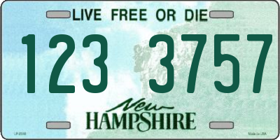 NH license plate 1233757