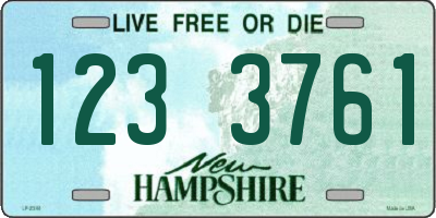 NH license plate 1233761