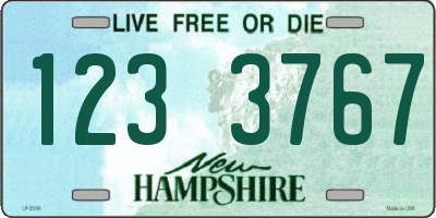 NH license plate 1233767