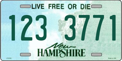 NH license plate 1233771