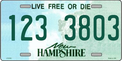 NH license plate 1233803