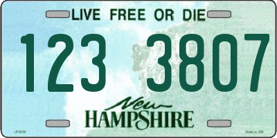 NH license plate 1233807