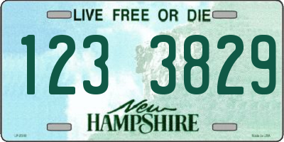 NH license plate 1233829