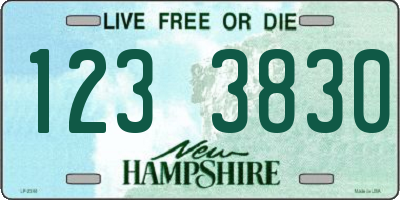 NH license plate 1233830