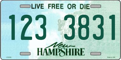 NH license plate 1233831