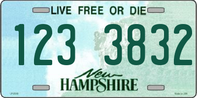 NH license plate 1233832
