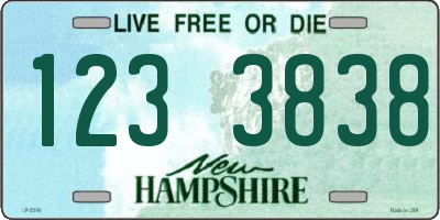 NH license plate 1233838