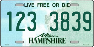 NH license plate 1233839
