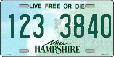 NH license plate 1233840