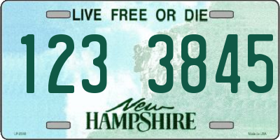 NH license plate 1233845