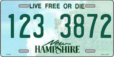 NH license plate 1233872
