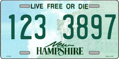 NH license plate 1233897