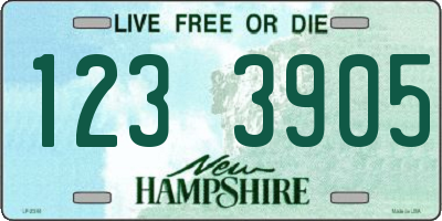 NH license plate 1233905