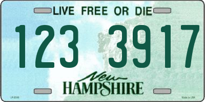 NH license plate 1233917