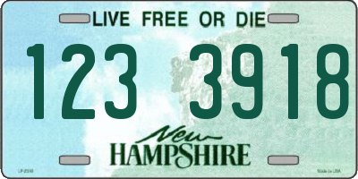 NH license plate 1233918