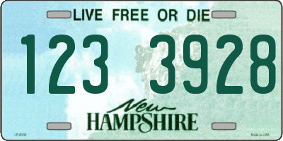 NH license plate 1233928