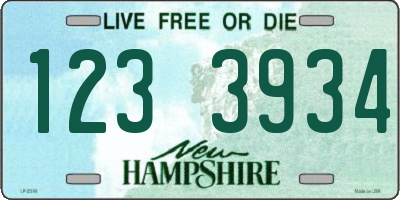 NH license plate 1233934