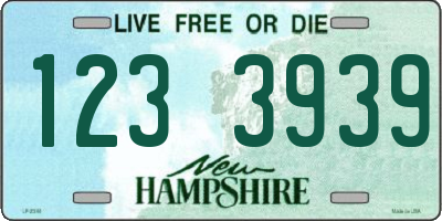 NH license plate 1233939
