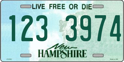 NH license plate 1233974