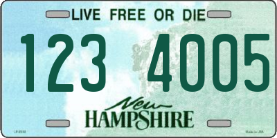 NH license plate 1234005