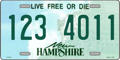 NH license plate 1234011