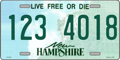 NH license plate 1234018