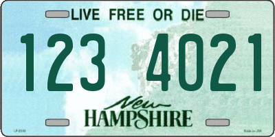 NH license plate 1234021