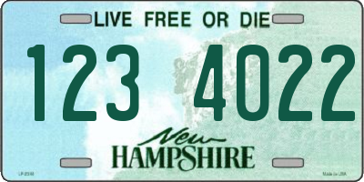 NH license plate 1234022