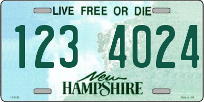 NH license plate 1234024