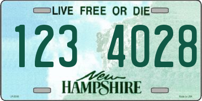 NH license plate 1234028