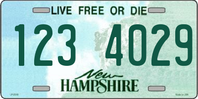 NH license plate 1234029