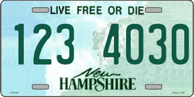 NH license plate 1234030