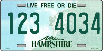 NH license plate 1234034