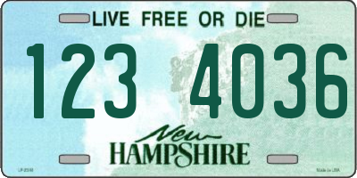 NH license plate 1234036