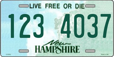 NH license plate 1234037