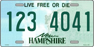 NH license plate 1234041