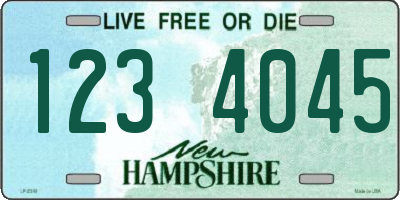 NH license plate 1234045