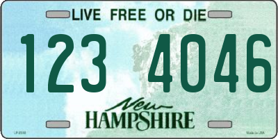 NH license plate 1234046