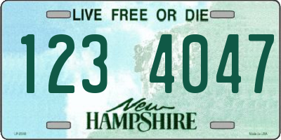 NH license plate 1234047