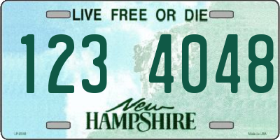 NH license plate 1234048