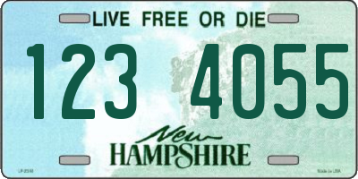 NH license plate 1234055