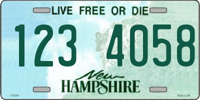 NH license plate 1234058
