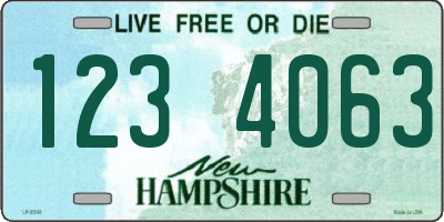 NH license plate 1234063